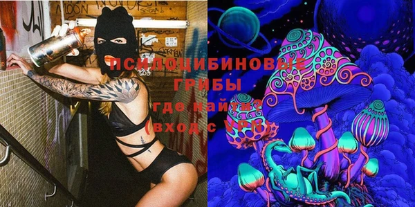 ешки Осинники